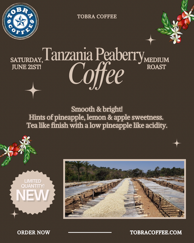 Tanzania Peaberry (LIMITED QUANTITY!)