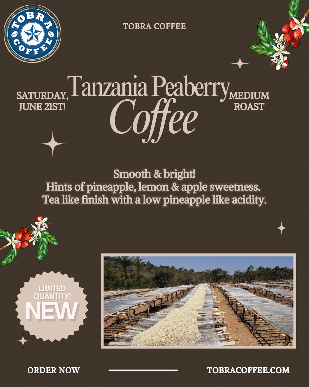 Tanzania Peaberry (LIMITED QUANTITY!)