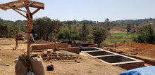 Tanzania Peaberry (LIMITED QUANTITY!)